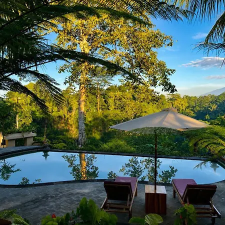 Moringa Cayon Retreat